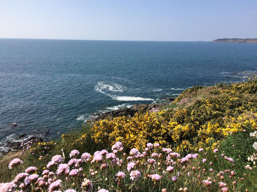 Moëlan-sur-Mer La Belle Relax - Calme Et Tranquillite Assures - 2 Personnes B&B 외부 사진