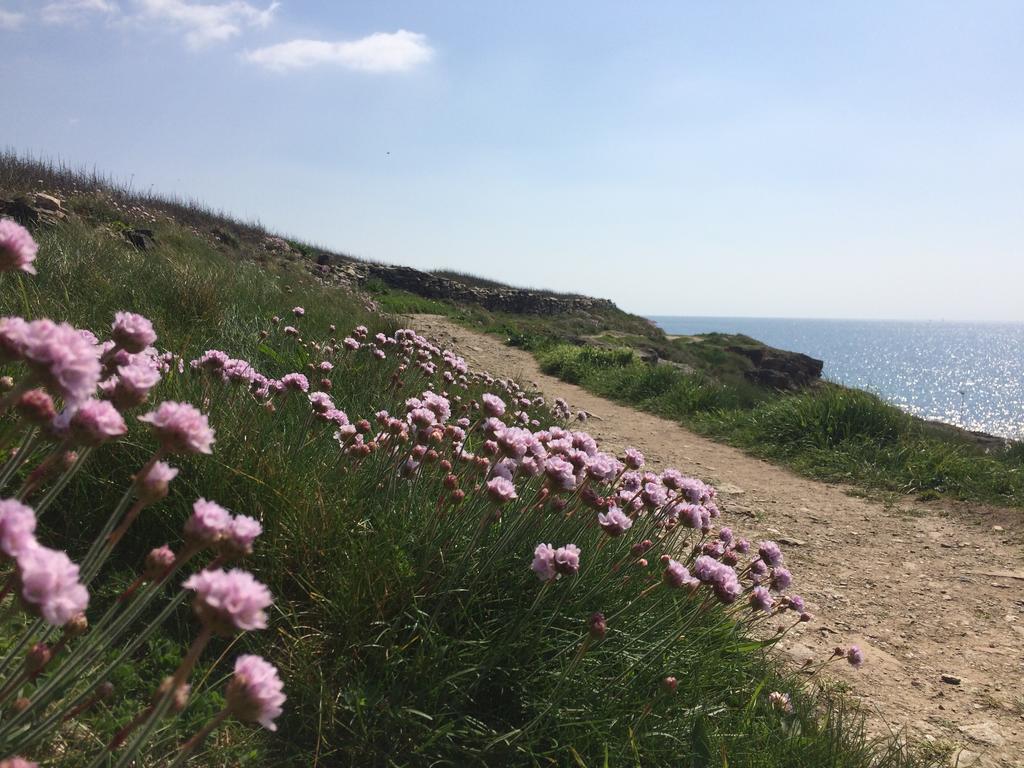 Moëlan-sur-Mer La Belle Relax - Calme Et Tranquillite Assures - 2 Personnes B&B 외부 사진
