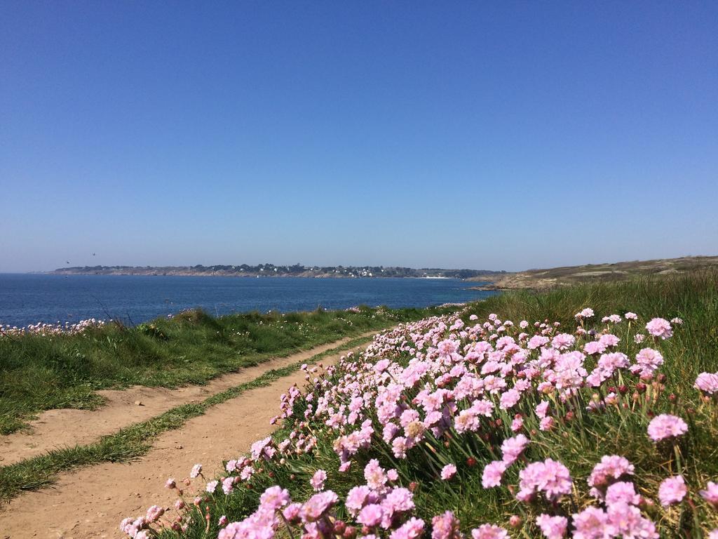 Moëlan-sur-Mer La Belle Relax - Calme Et Tranquillite Assures - 2 Personnes B&B 외부 사진