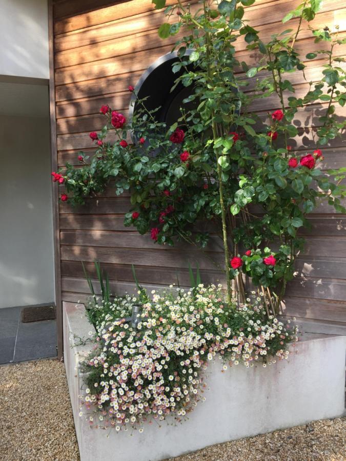Moëlan-sur-Mer La Belle Relax - Calme Et Tranquillite Assures - 2 Personnes B&B 외부 사진